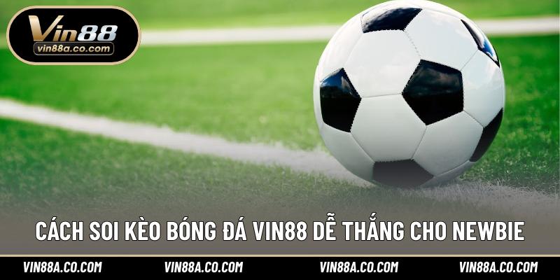 Cách soi kèo bóng đá Vin88 dễ thắng cho newbie
