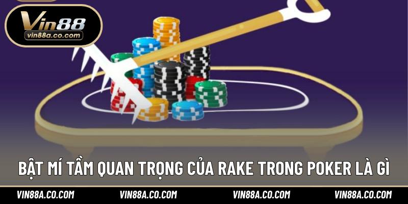 Bật mí tầm quan trọng của Rake trong Poker là gì