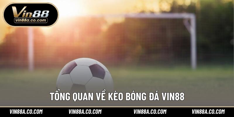 Tổng quan về kèo bóng đá Vin88